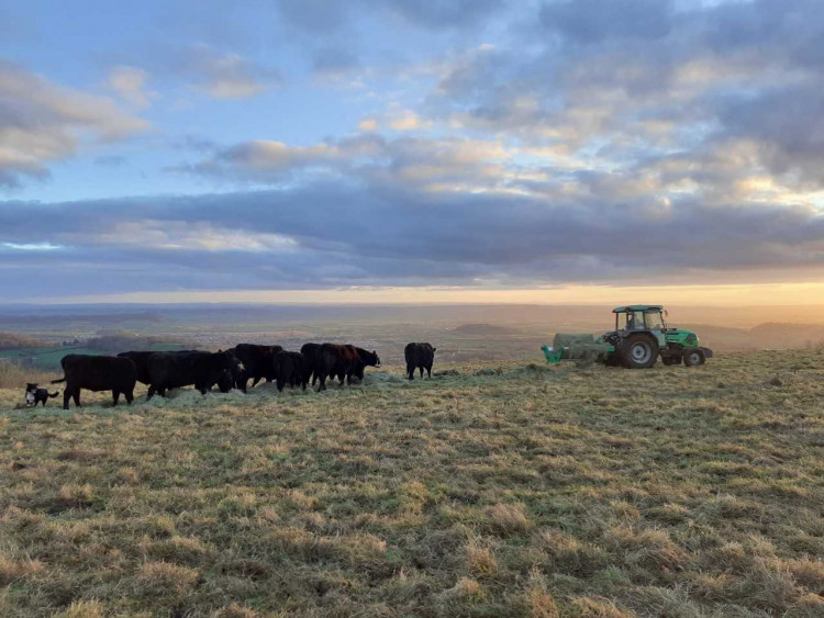 Grants are helping Mendip Hills farmers restore habitats, plant trees and improve the landscape for people and wildlife.