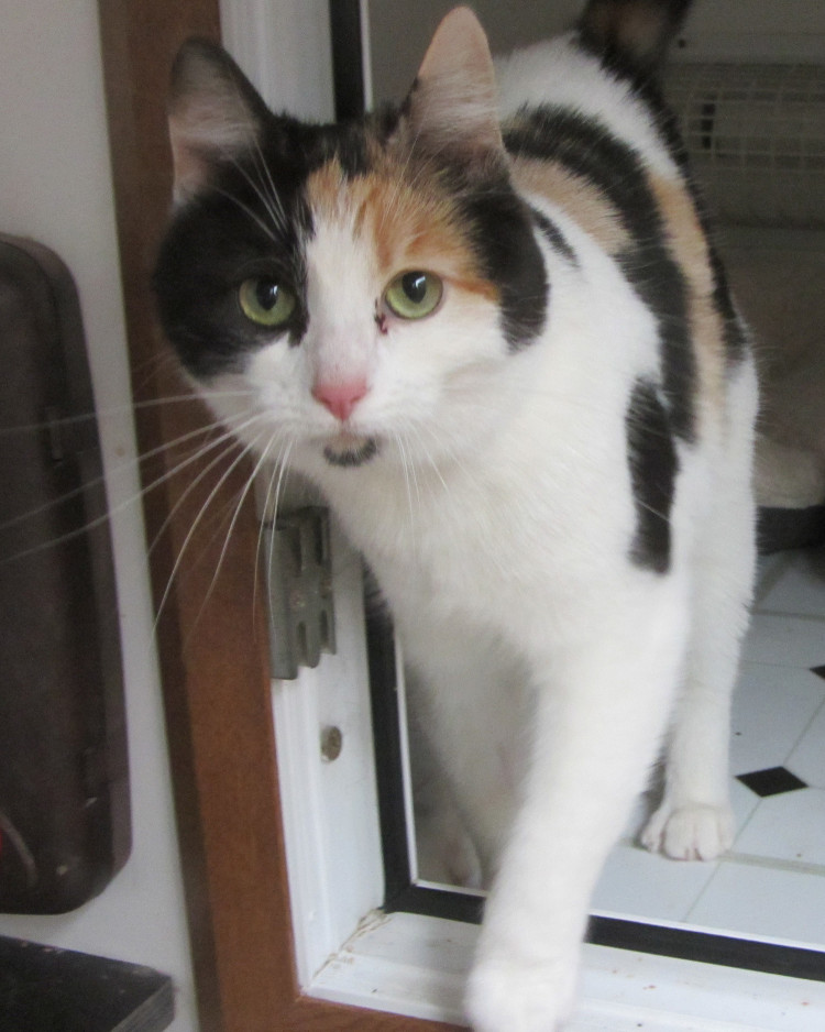 Puddin’ has been incredibly brave throughout her trials