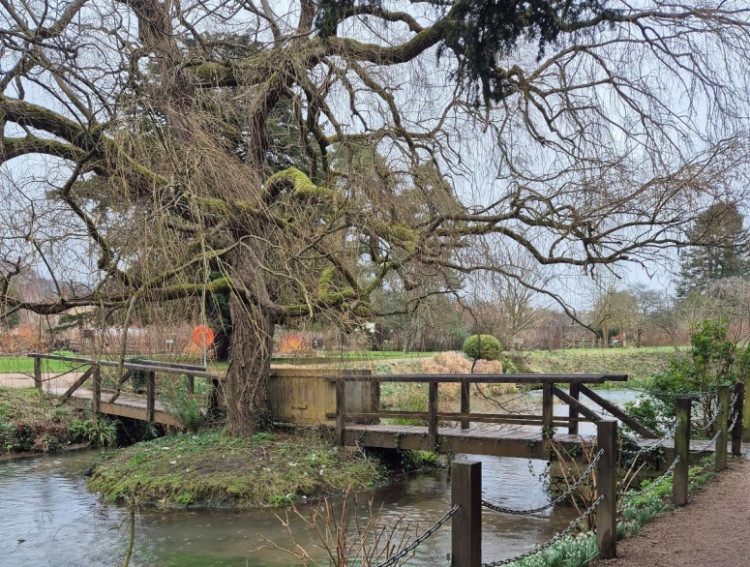 The current Willow Bridge at the Bishop’s Palace and Gardens in Wells. (Image: Palace Trust/Somerset Council)