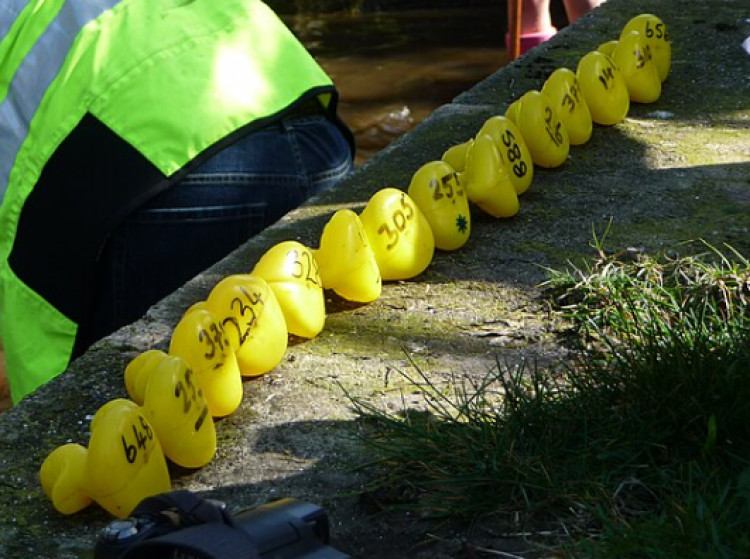 The Duck Race returns to Bramhall on Sunday 18 May 2025
