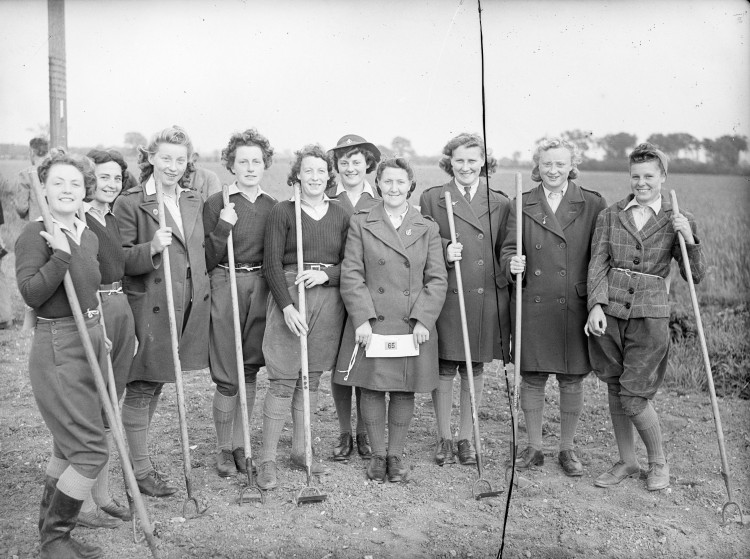 An image of the old Women's Land Army. (Credit: Merl)