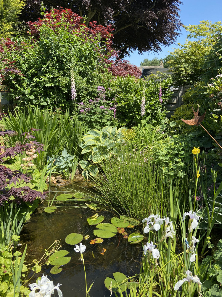 Manton Garden Openings Manton Garden Openings