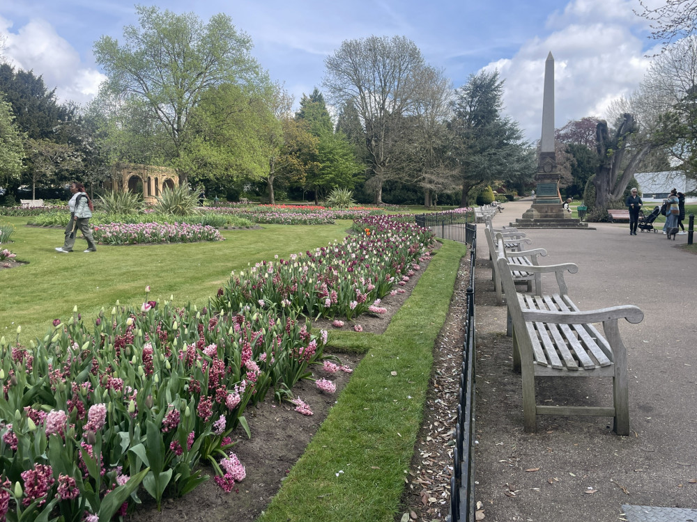 Flowers in Jephson Gardens to be given away for free to the public (images via Nadia Sayed) Flowers in Jephson Gardens to be given away for free to the public (images via Nadia Sayed)