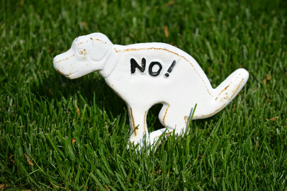Shepton Mallet residents are urged to report dog fouling as police and council launch crackdown (Photo: Unsplash) 