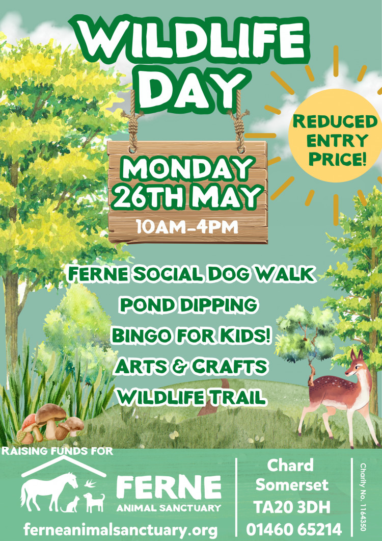 Celebrate Nature at Ferne Animal Sanctuary’s Wildlife Day – Monday 26th May