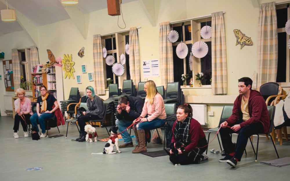 Maven Dogs' six-part puppy training course will take place at Elleray Hall located on Elleray Road, Teddington, TW11 0HG (Image supplied) Maven Dogs' six-part puppy training course will take place at Elleray Hall located on Elleray Road, Teddington, TW11 0HG (Image supplied)