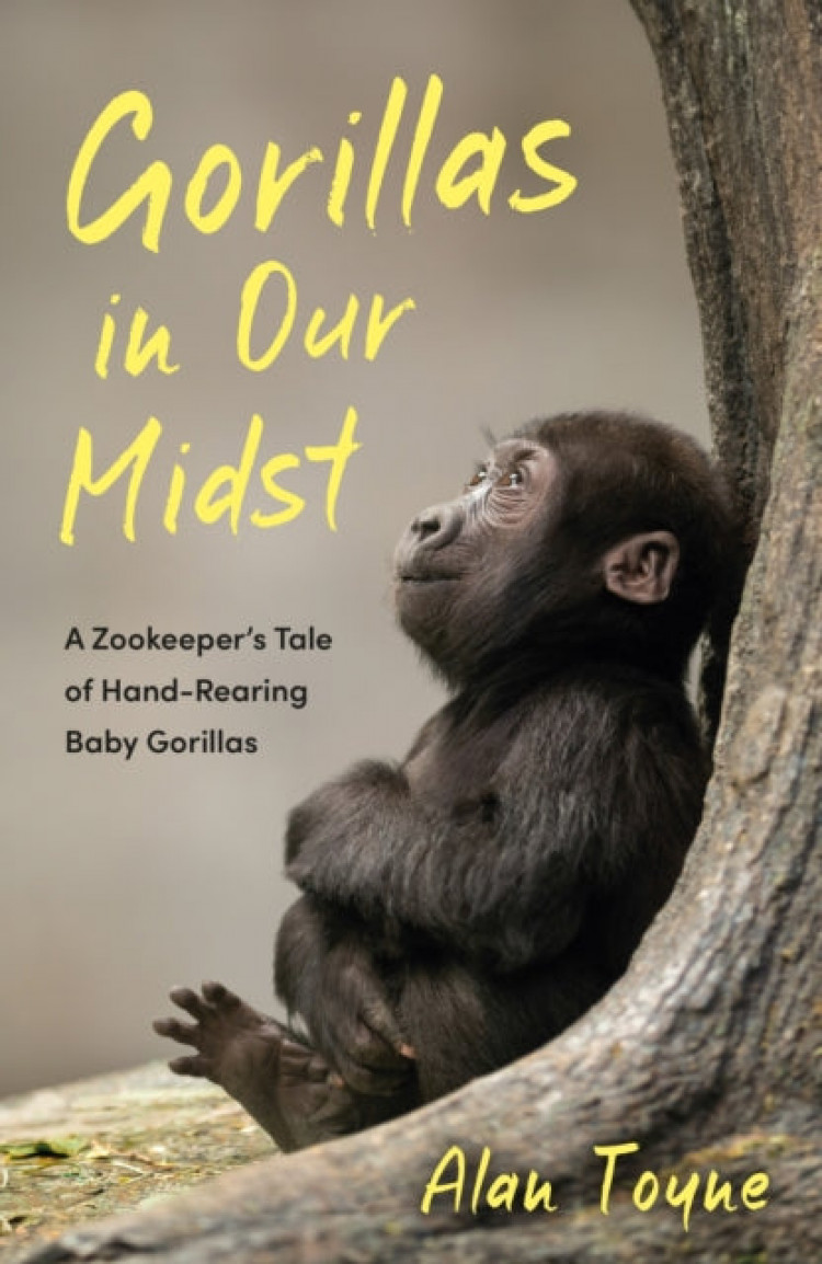 Gorillas in Our Midst: A Zookeeper's Tale of Hand-Rearing Baby Gorillas Gorillas in Our Midst: A Zookeeper's Tale of Hand-Rearing Baby Gorillas