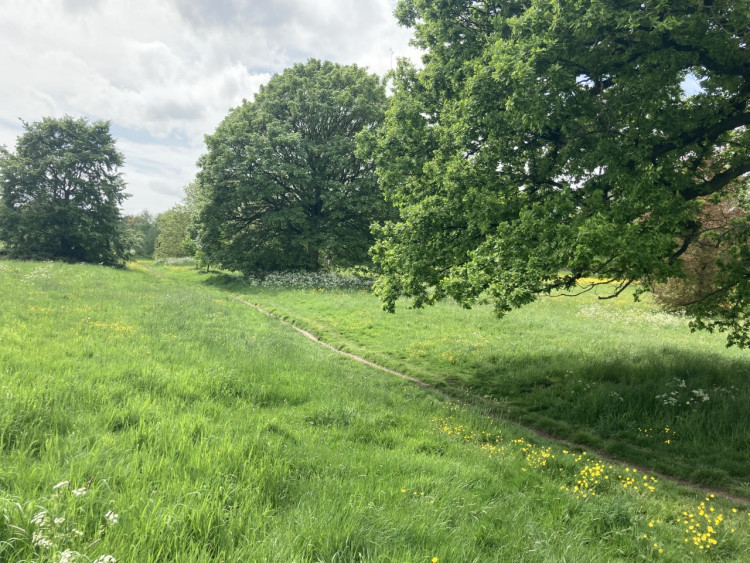 A diverse range of locals, businesses and trusts own much of Rutland's green fields and undeveloped countryside (Image - Nub News)