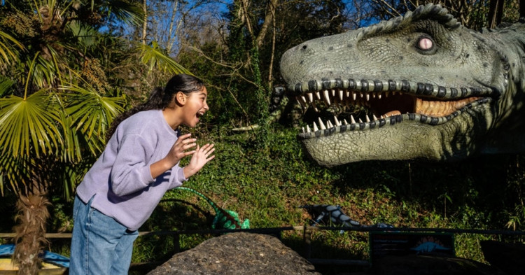 Enjoy live music, workshops, and comedy at Glastonbury's half-term events! From Wells Comedy Festival to magical shows at Wookey Hole, there's fun for all.