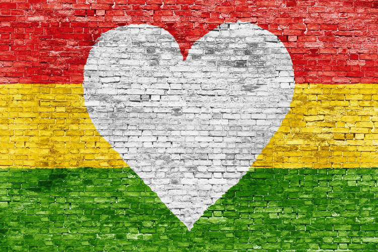The Core Reggae Band at the Central Bar and Venue, Central Avenue, Ibstock, near Coalville