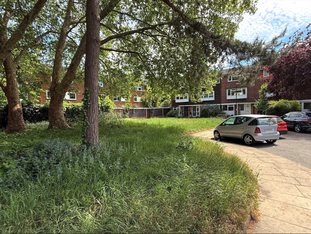 A rectangular piece of land at Kingfisher Drive, Richmond will go under the hammer next month (credit: Clive Emson Auctioneers). A rectangular piece of land at Kingfisher Drive, Richmond will go under the hammer next month (credit: Clive Emson Auctioneers).