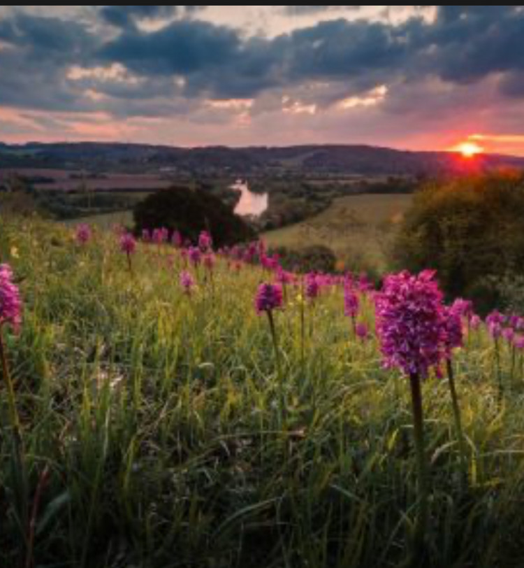 Via “Chilterns National Landscape”
