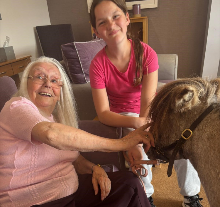 Moments of animal magic at Crandon Springs Care Home in Wells, Somerset, as residents were visited by therapy ponies and Bonnie the therapy dog. 