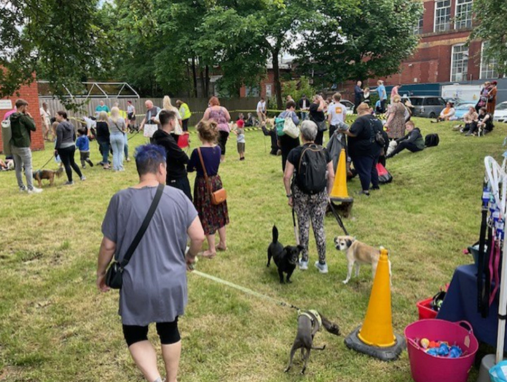 A dog show and market will be taking place at Broadstone Mill, Reddish, on Saturday 31 May 2025 (Image - Worker Bee Markets) A dog show and market will be taking place at Broadstone Mill, Reddish, on Saturday 31 May 2025 (Image - Worker Bee Markets)