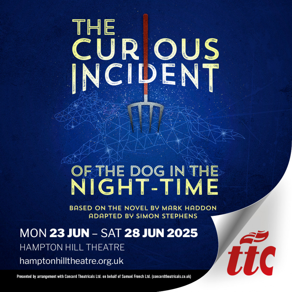 The Curious Incident of the Dog in the Night-Time The Curious Incident of the Dog in the Night-Time