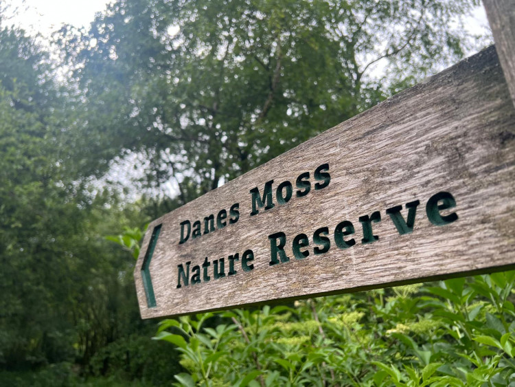 Saves Danes Moss are hosting a guided walk on World Peatlands Day (Credit: Nub News)