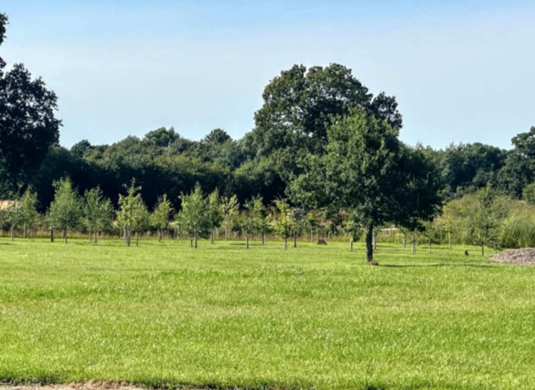 Cheshire East is next week expected to give the go-ahead for coffin burials to take place at an ecological burial ground at Shavington (Santune Meadows).