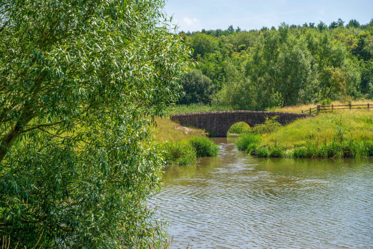 Feelgood Day at Sence Valley, at Sence Valley Forest Park, Ibstock, near Coalville