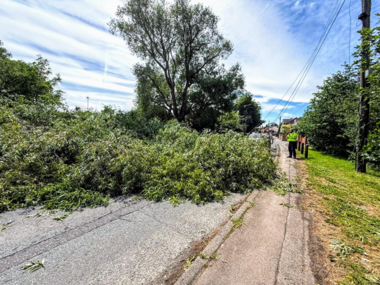 At around 1.30pm on Thursday 29 May, a large tree collapsed onto Newcastle Road, close to the junction with Cobbs Lane, Hough, leaving both sides of the road totally blocked (Nub News).