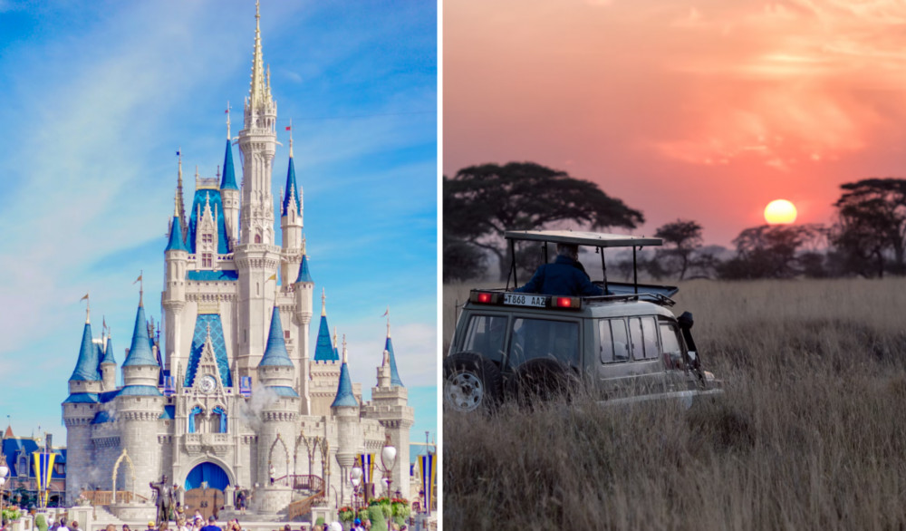 High Peak Comps - a local competitions firm - is hosting a a dream holiday draw worth £15,000. Choose from either a safari or a Disneyworld trip (Images - Unsplash: left - Younho Choo; right - Hu Chen) High Peak Comps - a local competitions firm - is hosting a a dream holiday draw worth £15,000. Choose from either a safari or a Disneyworld trip (Images - Unsplash: left - Younho Choo; right - Hu Chen)