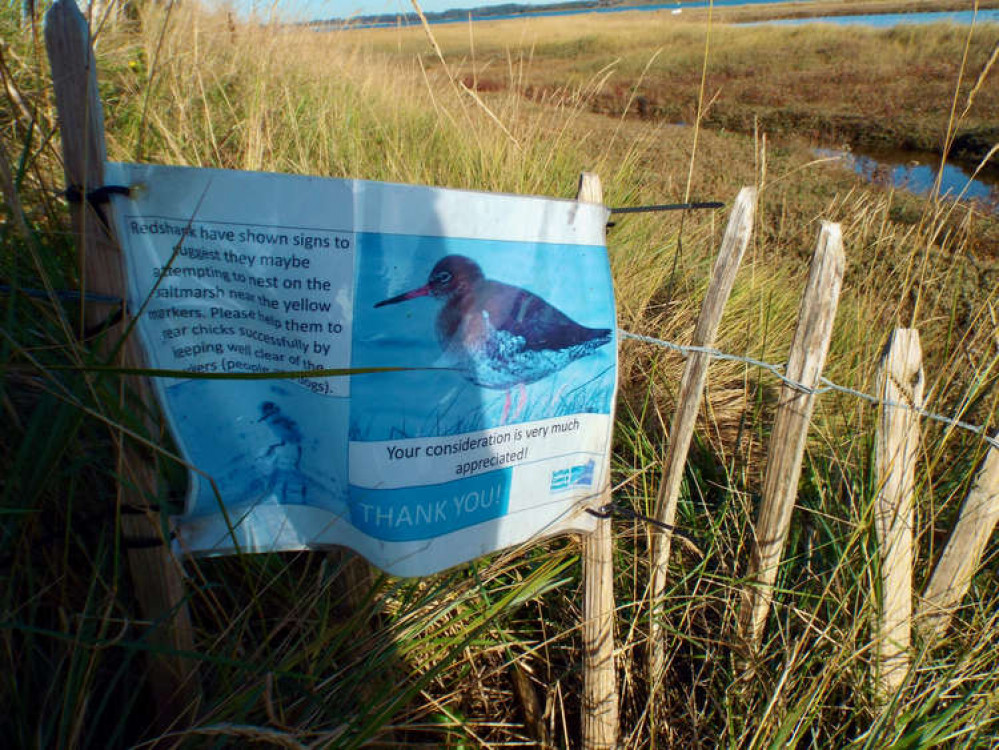 AONB Redshank Shotley Marshes poster