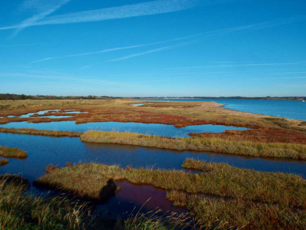 Flooded Shotley marshes