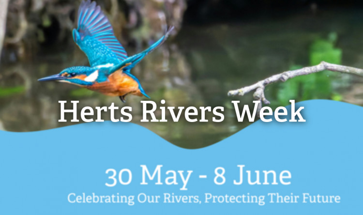 Herts River Week 
