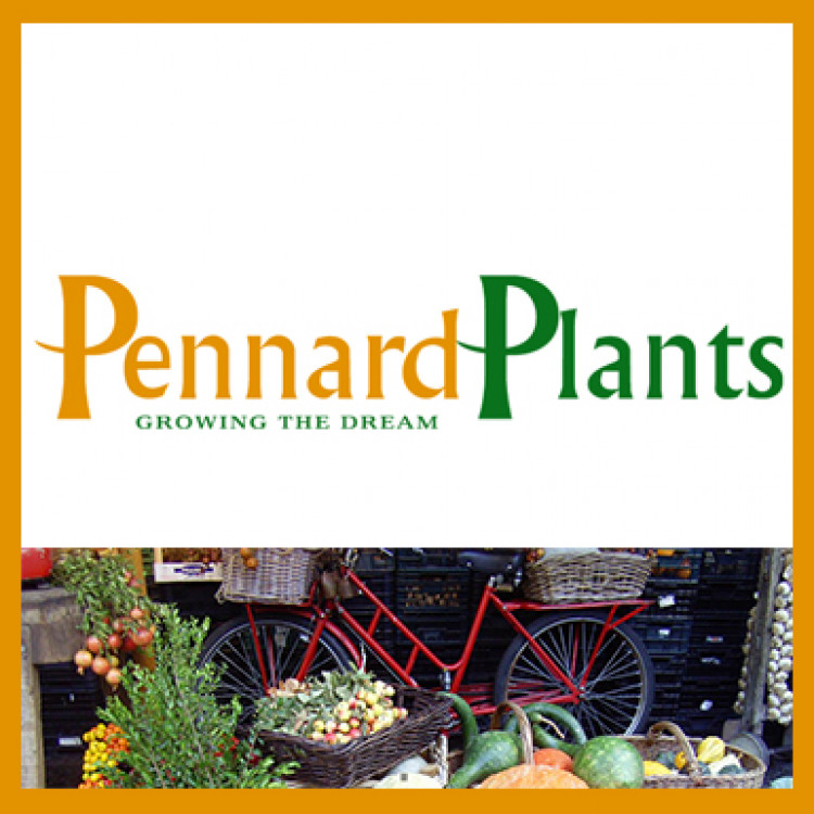 Pennard House gardens open for the National Garden Scheme (£6), from 12:00-17:00. Pennard House gardens open for the National Garden Scheme (£6), from 12:00-17:00.