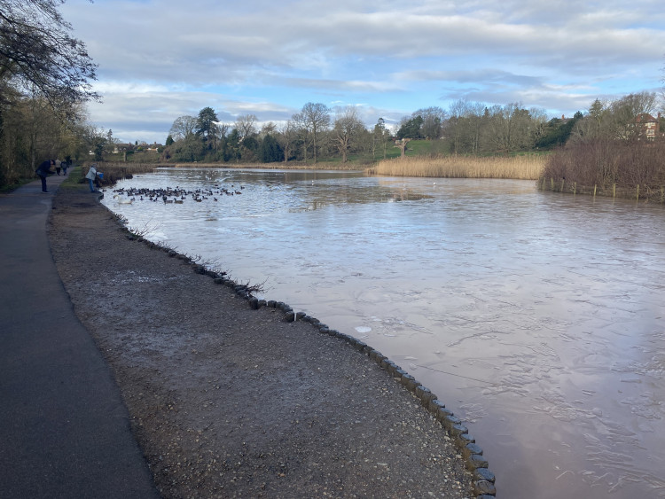 Residents are being asked for their views on the shared footpaths for Abbey Fields (image by Nub News)