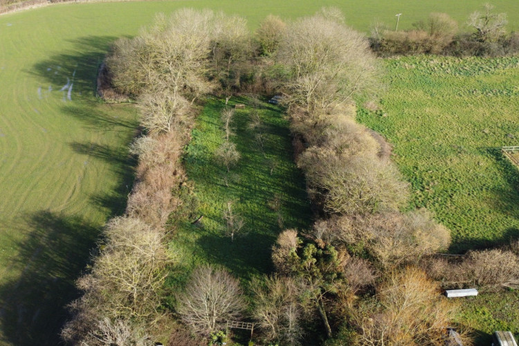 A dream build in the making – the 1.4-acre plot in Compton Dundon comes with full planning, orchard, paddock and potential.