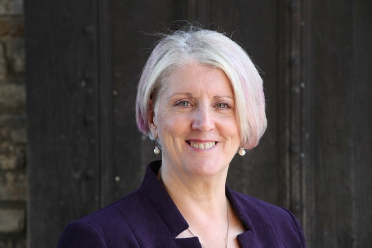 Dr Lynne Sedgmore CBE, Chair Of The Glastonbury Town Deal Board. CREDIT: Glastonbury Town Deal. 