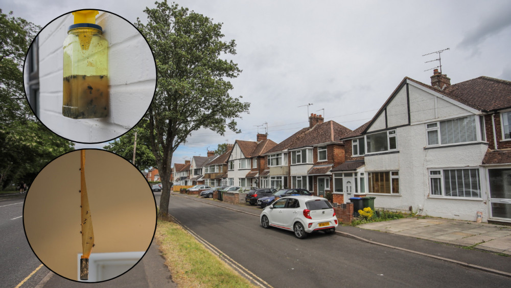The issue of flies around south Warwick and Leamington Spa has persisted over the past few years (images via SWNS) The issue of flies around south Warwick and Leamington Spa has persisted over the past few years (images via SWNS)