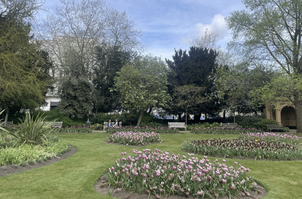 Leamington in Bloom group is seeking two to three new volunteers (images via Nadia Sayed) Leamington in Bloom group is seeking two to three new volunteers (images via Nadia Sayed)