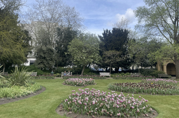 Leamington in Bloom group is seeking two to three new volunteers (images via Nadia Sayed)