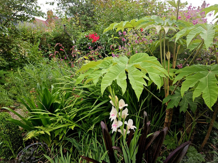 Ashby Open Gardens