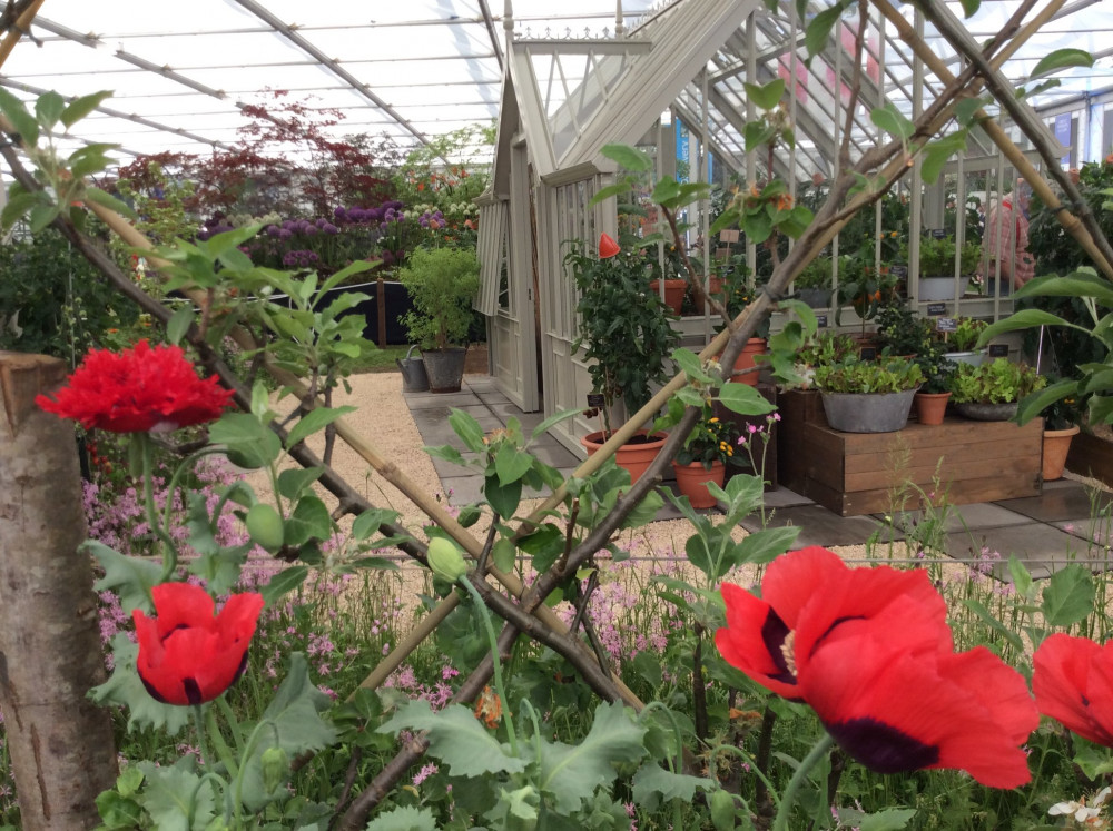 Visitors will have the chance to explore the gardens and browse plants at the Pennard Plants open day in East Pennard. Visitors will have the chance to explore the gardens and browse plants at the Pennard Plants open day in East Pennard.