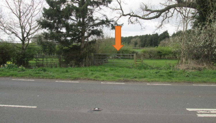 The site near the Asps housing development has been used to graze sheep (image via planning application)
