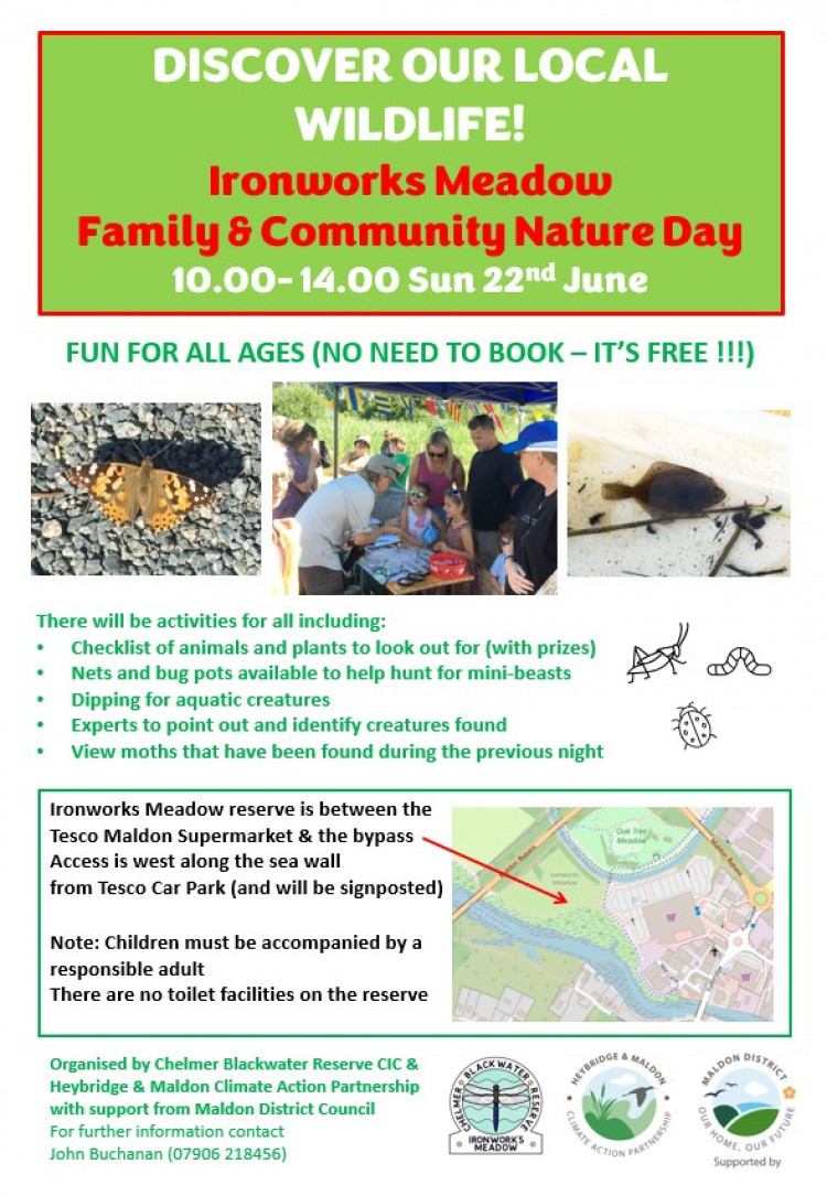 Ironworks Meadow Family & Community Nature Day