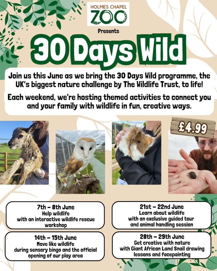 30 Days Wild - Family Event