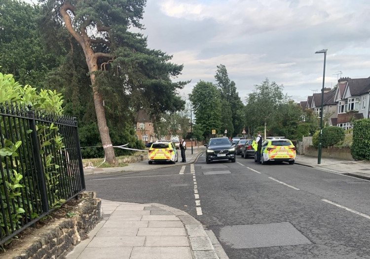 The incident took place on Broom Road in Teddington (Credit: Nub News)