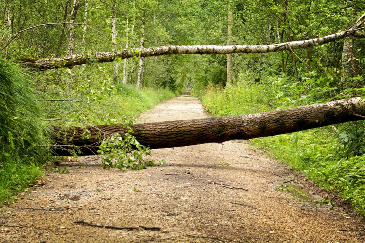 The weather warning is in place for Saturday 7 June (image via pixabay)