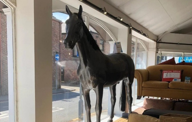 A life-size horse model is for sale at Sue Ryder in Maccclesfield (Credit: Sue Ryder)