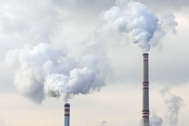 The environment and communities committee voted in favour of formally endorsing the call for a fossil fuel non-proliferation treaty (Credit: Pixabay)