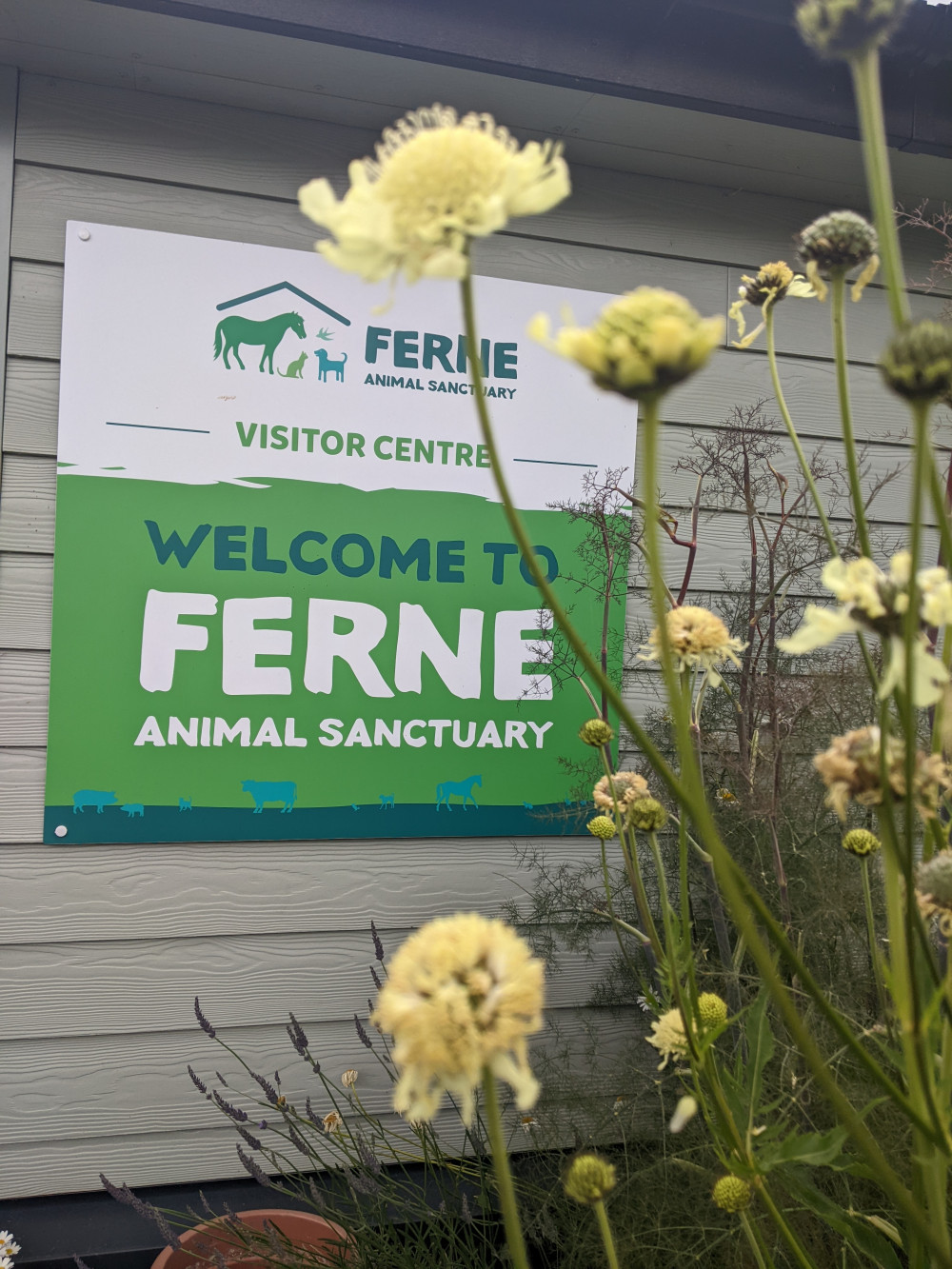 Ferne Animal Sanctuary to Host Charity Insights Morning. Ferne Animal Sanctuary to Host Charity Insights Morning.