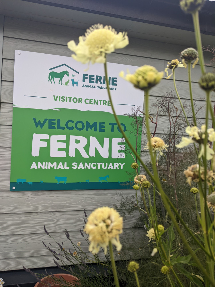 Ferne Animal Sanctuary to Host Charity Insights Morning. Ferne Animal Sanctuary to Host Charity Insights Morning.