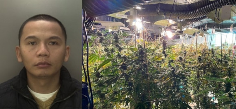 Roman Le, 37, from Birmingham, ran cannabis factories around the country (image via NCA) Roman Le, 37, from Birmingham, ran cannabis factories around the country (image via NCA)