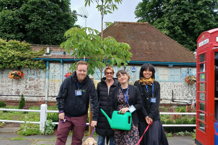 The adopted tree is next to Liv’s Telecafe on Twickenham Green (credit: Image supplied).
