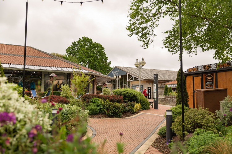 Clarks Village in Street has planted over 600 native species to support wildlife, improve air quality, and boost local biodiversity.