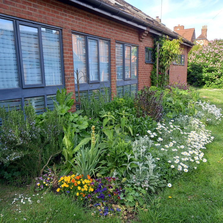 Bulbs have been planted at various points along Station Road (image supplied)