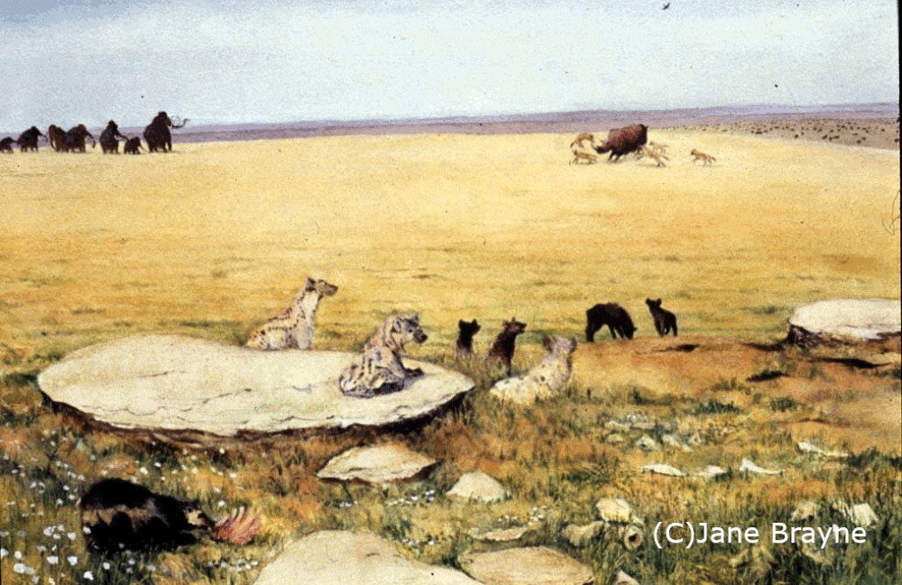 Talk : Hunters and Hyenas in Prehistoric Rutland Talk : Hunters and Hyenas in Prehistoric Rutland